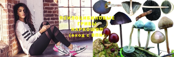 гидра Михайлов
