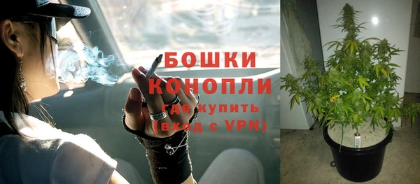 гидра Михайлов