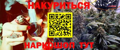 молекула духа Кингисепп