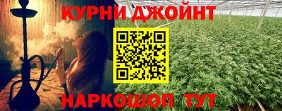 молекула духа Кингисепп
