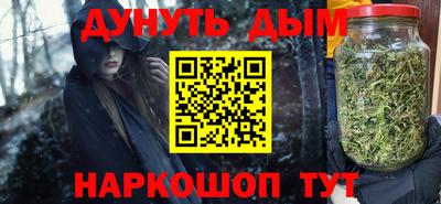 молекула духа Кингисепп