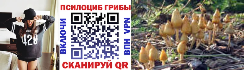 Галлюциногенные грибы Psilocybe  omg ONION  Ростов-на-Дону 
