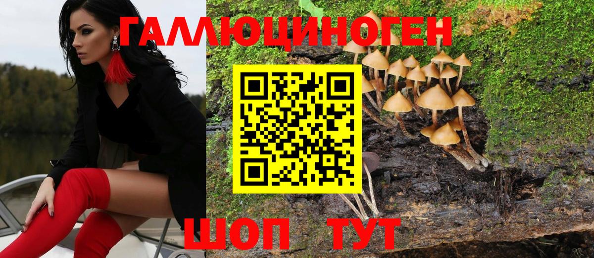 Галлюциногенные грибы ЛСД Ростов-на-Дону